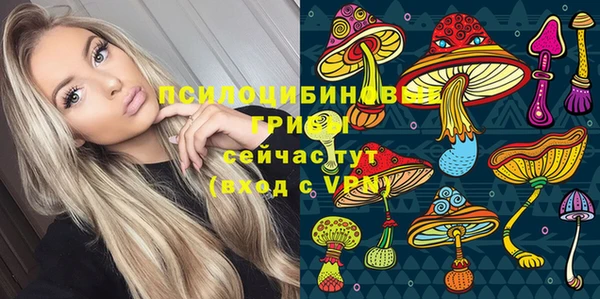 шишки Новокубанск