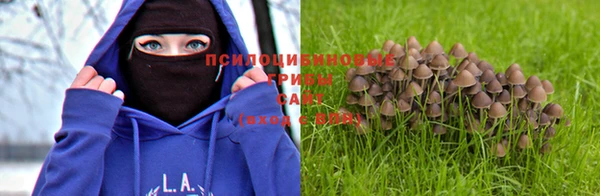дурь Арсеньев